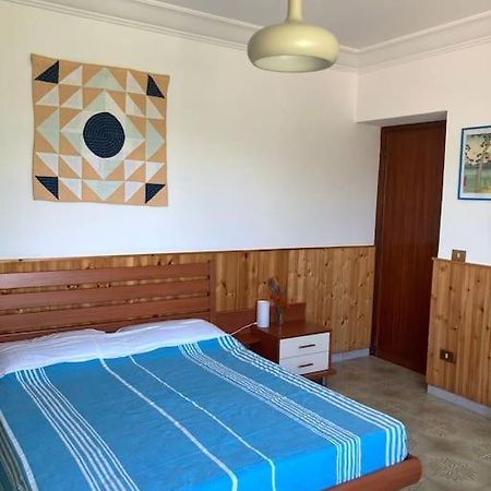 Casa Sisu-Appartamento Immerso Negli Ulivi SantʼElia Fiumerapido Dış mekan fotoğraf