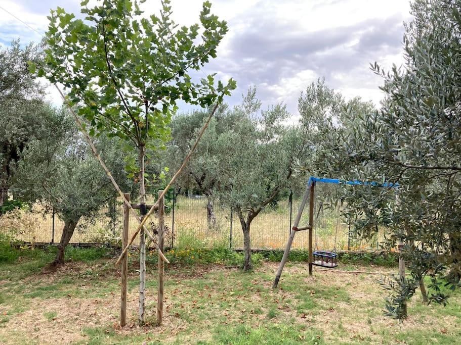 Casa Sisu-Appartamento Immerso Negli Ulivi SantʼElia Fiumerapido Dış mekan fotoğraf