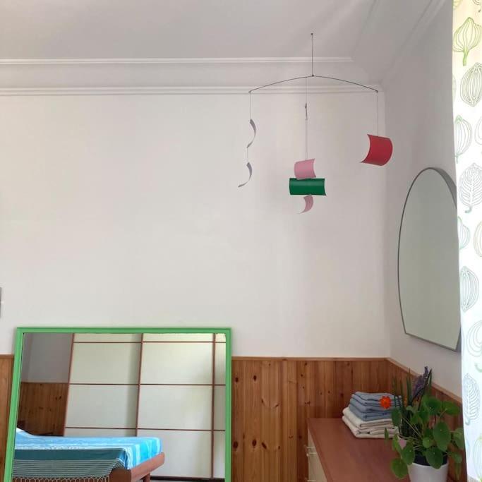 Casa Sisu-Appartamento Immerso Negli Ulivi SantʼElia Fiumerapido Dış mekan fotoğraf