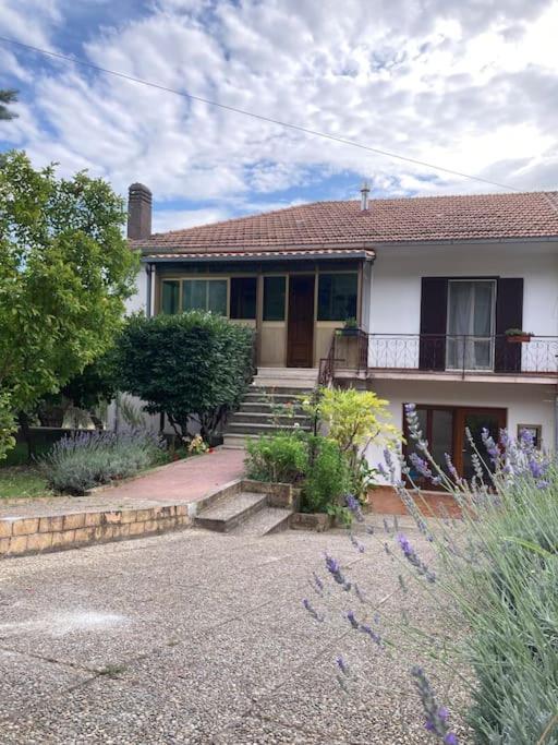 Casa Sisu-Appartamento Immerso Negli Ulivi SantʼElia Fiumerapido Dış mekan fotoğraf