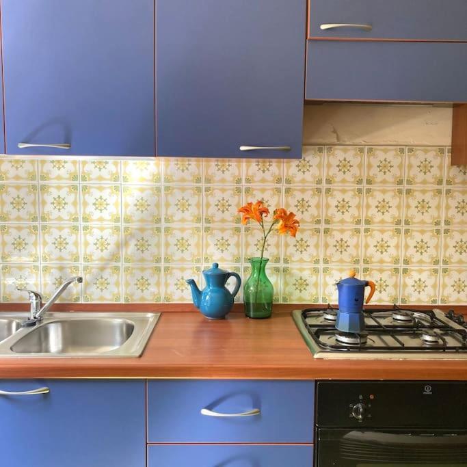 Casa Sisu-Appartamento Immerso Negli Ulivi SantʼElia Fiumerapido Dış mekan fotoğraf