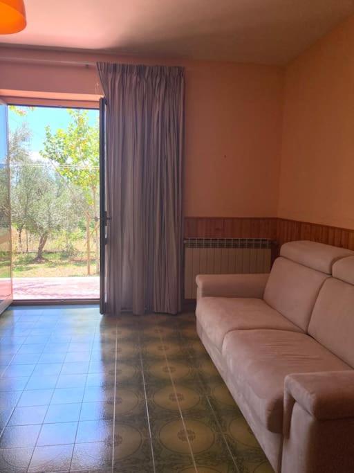 Casa Sisu-Appartamento Immerso Negli Ulivi SantʼElia Fiumerapido Dış mekan fotoğraf