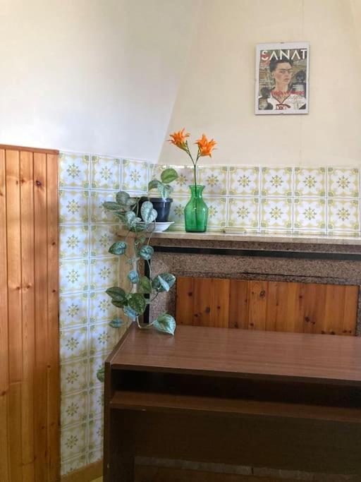 Casa Sisu-Appartamento Immerso Negli Ulivi SantʼElia Fiumerapido Dış mekan fotoğraf